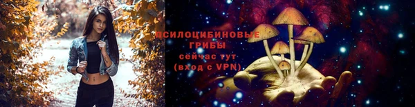 ECSTASY Лагань