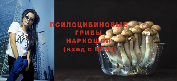 ECSTASY Лагань