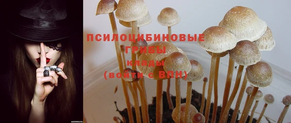 ECSTASY Лагань