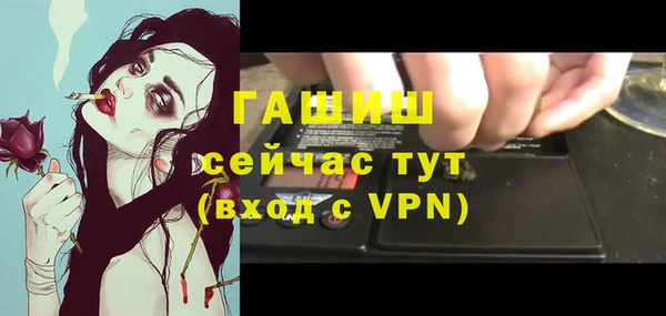 молекула духа Лабытнанги