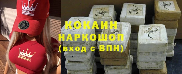 ECSTASY Лагань