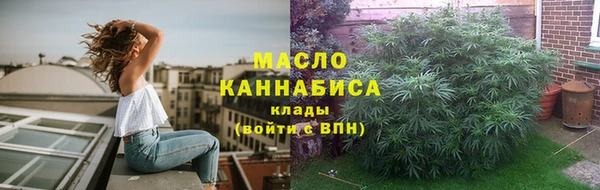 молекула духа Лабытнанги