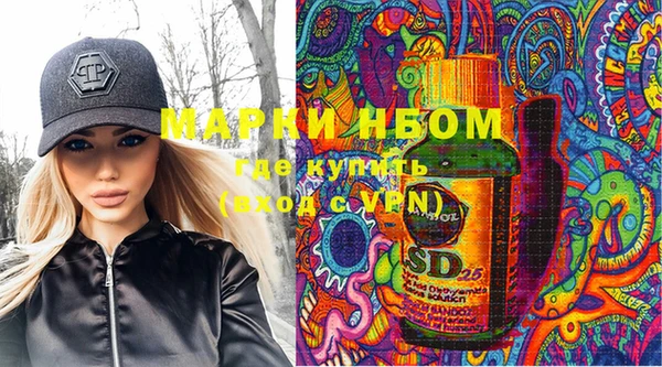 молекула духа Лабытнанги