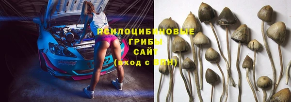 ECSTASY Лагань