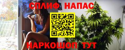 хмурый Дубна