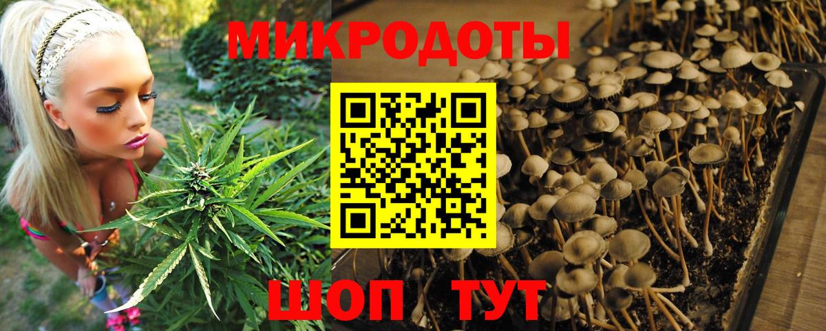Псилоцибиновые грибы Magic Shrooms  Вход с VPN  Сочи 