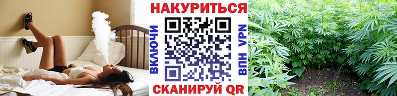 МЕГА вход  как найти закладки  Сочи  Шишки марихуана сатива 